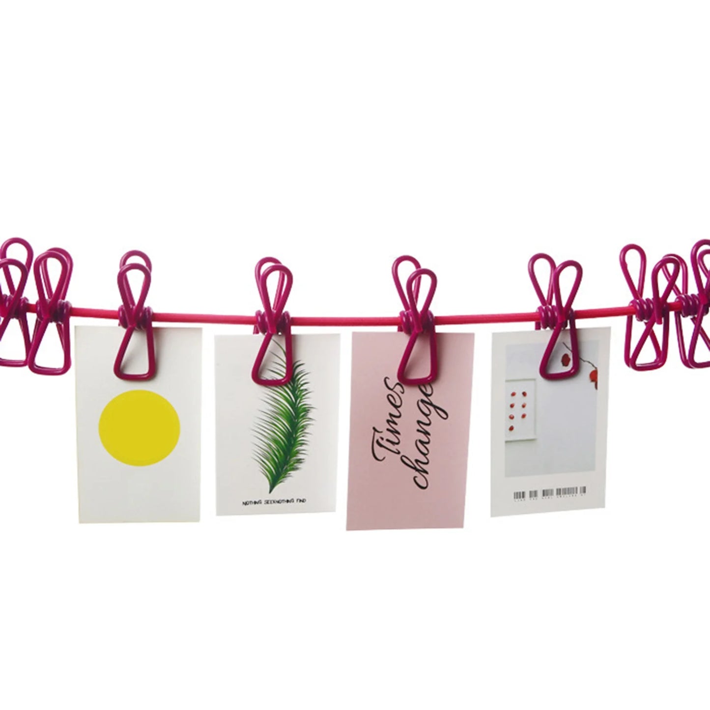 Portable Travel Clothesline with 12 Clothespins